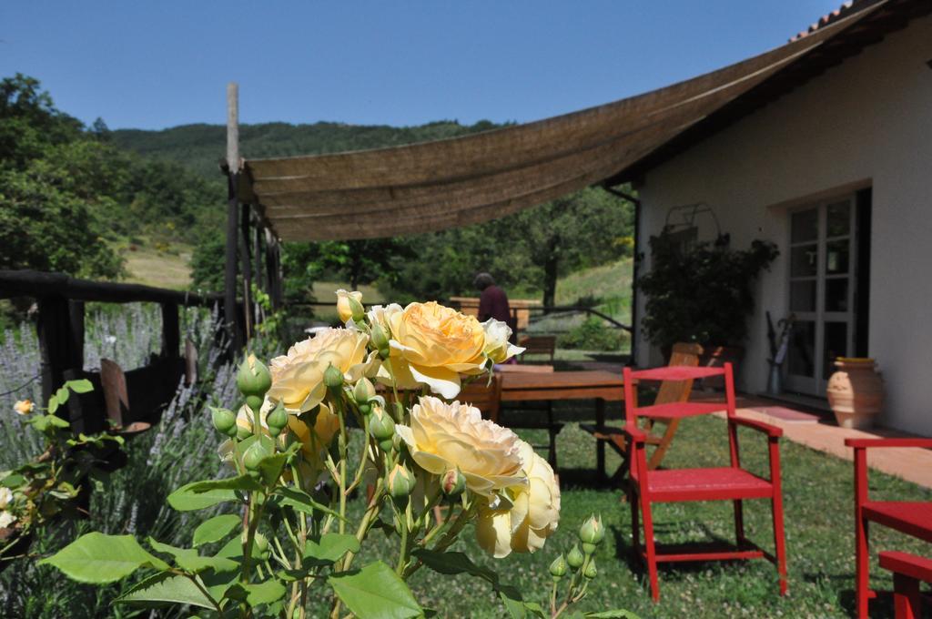 Agriturismo L'Oca Blu Hotel Gubbio Zewnętrze zdjęcie