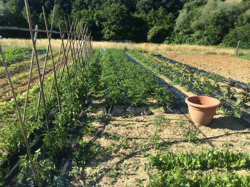 Agriturismo L'Oca Blu Hotel Gubbio Zewnętrze zdjęcie