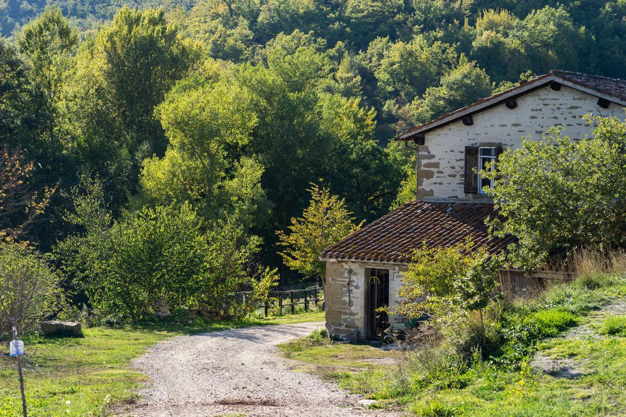 Agriturismo L'Oca Blu Hotel Gubbio Zewnętrze zdjęcie